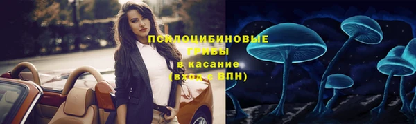 гидропоника Ладушкин