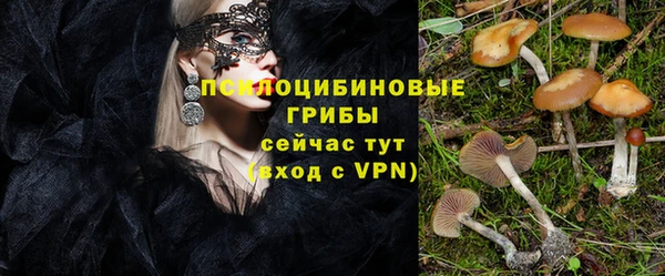 гидропоника Ладушкин