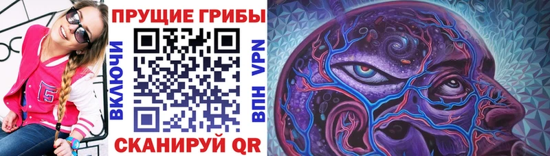 Псилоцибиновые грибы Cubensis Майкоп